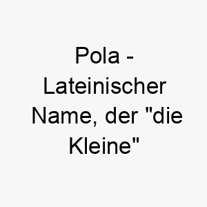 pola lateinischer name der die kleine bedeutet 7776