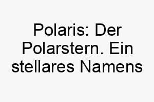 polaris der polarstern ein stellares namens fuer einen hervorragenden hund 24773