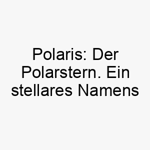 polaris der polarstern ein stellares namens fuer einen hervorragenden hund 24773