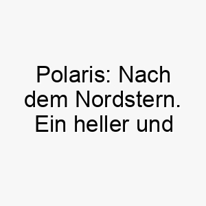 polaris nach dem nordstern ein heller und leuchtender name fuer einen hund 24465