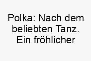 polka nach dem beliebten tanz ein froehlicher name fuer einen lebhaften hund 24724