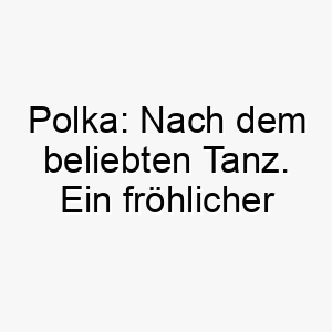 polka nach dem beliebten tanz ein froehlicher name fuer einen lebhaften hund 24724