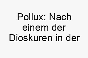 pollux nach einem der dioskuren in der griechischen mythologie ein passender name fuer einen loyalen hund 24716