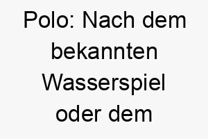 polo nach dem bekannten wasserspiel oder dem polosport 24311