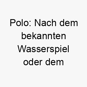 polo nach dem bekannten wasserspiel oder dem polosport 24311