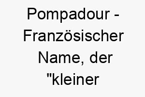 pompadour franzoesischer name der kleiner huegel bedeutet 7785