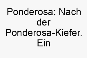 ponderosa nach der ponderosa kiefer ein naturverbundener name fuer einen grossen robusten hund 25073