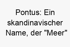 pontus ein skandinavischer name der meer bedeutet 24310