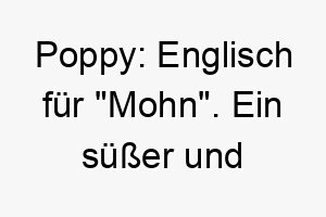 poppy englisch fuer mohn ein suesser und freundlicher name fuer einen hund 24478