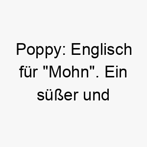 poppy englisch fuer mohn ein suesser und freundlicher name fuer einen hund 24478