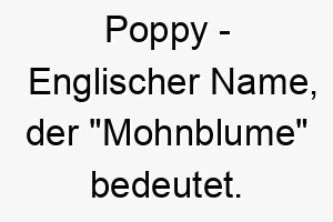 poppy englischer name der mohnblume bedeutet 7688 1