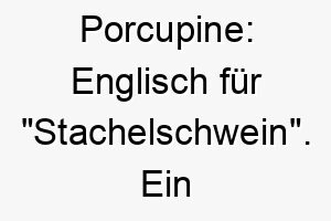 porcupine englisch fuer stachelschwein ein passender name fuer einen stacheligen oder schuetzenden hund 24795