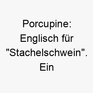 porcupine englisch fuer stachelschwein ein passender name fuer einen stacheligen oder schuetzenden hund 24795