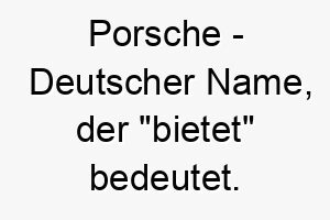 porsche deutscher name der bietet bedeutet 7763