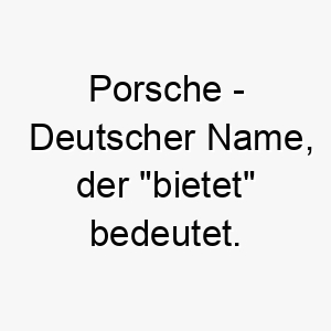 porsche deutscher name der bietet bedeutet 7763