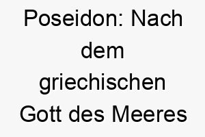 poseidon nach dem griechischen gott des meeres und der erdbeben ideal fuer einen starken maechtigen hund 2 24484