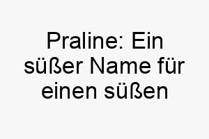 praline ein suesser name fuer einen suessen hund nach der suessen leckerei 24467