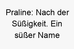 praline nach der suessigkeit ein suesser name fuer einen liebenswerten hund 24739