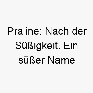 praline nach der suessigkeit ein suesser name fuer einen liebenswerten hund 24739