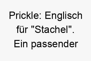 prickle englisch fuer stachel ein passender name fuer einen stacheligen oder schuetzenden hund 25033