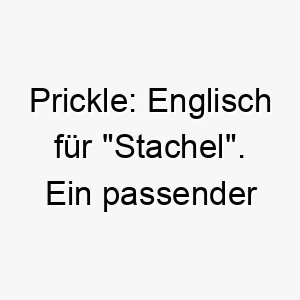 prickle englisch fuer stachel ein passender name fuer einen stacheligen oder schuetzenden hund 25033