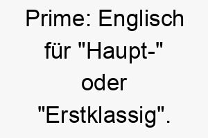 prime englisch fuer haupt oder erstklassig ein starker und selbstbewusster name fuer einen hund 24706