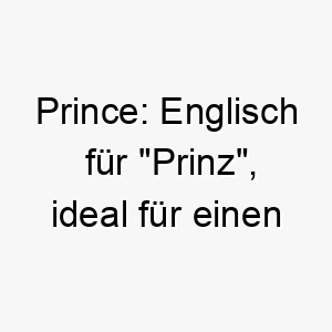 prince englisch fuer prinz ideal fuer einen noblen und eleganten hund 2 24426