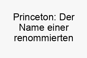 princeton der name einer renommierten amerikanischen universitaet kann grosse stadt bedeuten 24439