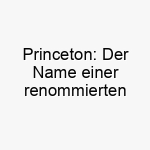 princeton der name einer renommierten amerikanischen universitaet kann grosse stadt bedeuten 24439