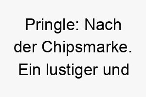 pringle nach der chipsmarke ein lustiger und ungewoehnlicher name fuer einen hund 24743