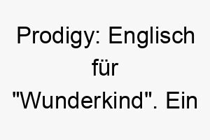 prodigy englisch fuer wunderkind ein passender name fuer einen aussergewoehnlich klugen hund 24735