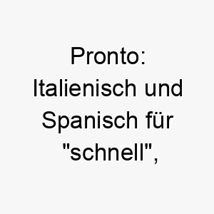 pronto italienisch und spanisch fuer schnell passend fuer einen schnellen oder agilen hund 24414