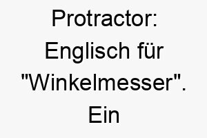 protractor englisch fuer winkelmesser ein wissenschaftlicher name fuer einen klugen hund 24794