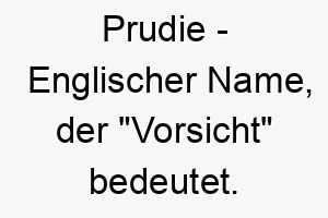 prudie englischer name der vorsicht bedeutet 7765