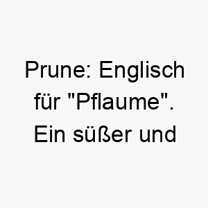 prune englisch fuer pflaume ein suesser und etwas altmodischer name fuer einen hund 25084