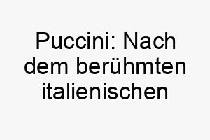 puccini nach dem beruehmten italienischen komponisten ein schoener name fuer einen musikalischen hund 24472