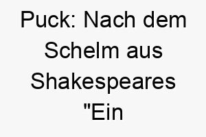 puck nach dem schelm aus shakespeares ein sommernachtstraum ideal fuer einen verspielten oder frechen hund 24745