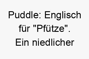 puddle englisch fuer pfuetze ein niedlicher name fuer einen kleinen oder mittelgrossen hund 24441