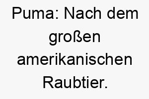 puma nach dem grossen amerikanischen raubtier geeignet fuer einen starken athletischen hund 24318