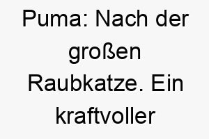 puma nach der grossen raubkatze ein kraftvoller name fuer einen grossen oder athletischen hund 24749