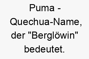 puma quechua name der bergloewin bedeutet 7723