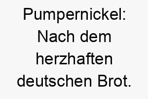 pumpernickel nach dem herzhaften deutschen brot ein ungewoehnlicher aber suesser name fuer einen hund 2 24796