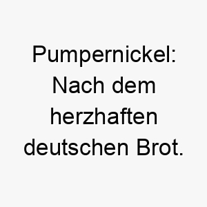 pumpernickel nach dem herzhaften deutschen brot ein ungewoehnlicher aber suesser name fuer einen hund 2 24796