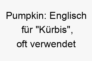 pumpkin englisch fuer kuerbis oft verwendet als liebevoller name 24319