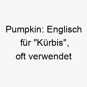 pumpkin englisch fuer kuerbis oft verwendet als liebevoller name 24319