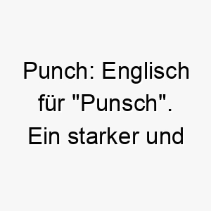 punch englisch fuer punsch ein starker und wuerziger name fuer einen hund 24500