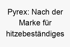 pyrex nach der marke fuer hitzebestaendiges glas ein widerstandsfaehiger name fuer einen robusten hund 24726