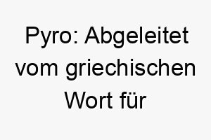 pyro abgeleitet vom griechischen wort fuer feuer gut geeignet fuer einen hund mit feuriger energischer persoenlichkeit 2 24480