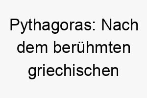 pythagoras nach dem beruehmten griechischen mathematiker ein passender name fuer einen klugen hund 24470