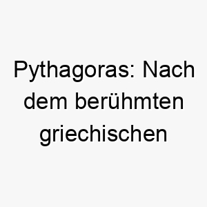 pythagoras nach dem beruehmten griechischen mathematiker ein passender name fuer einen klugen hund 24470